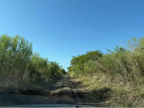 venta de 2 chacras de 7 Has c/u de 168 x 410 m. Gualeguaychú