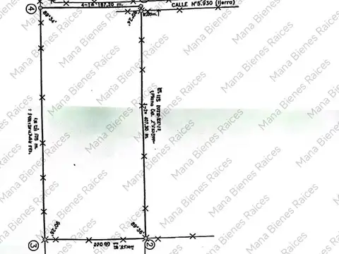 venta de 2 chacras de 7 Has c/u de 168 x 410 m. Gualeguaychú