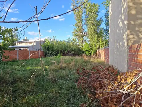 Terreno en Venta en Virrey del Pino, USD 18.000