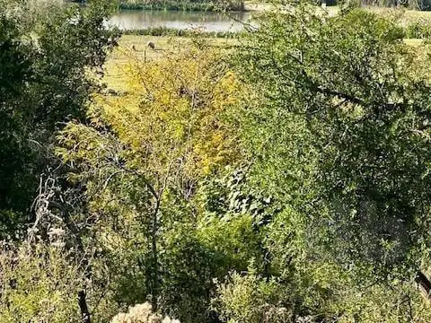 Puerto Panal 3