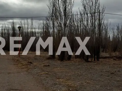 TERRENO VENTA MANZANARES DE ORO F ORO