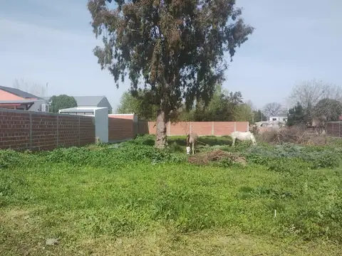 Terreno en Venta en Lisandro Olmos Etcheverry, USD 42.000