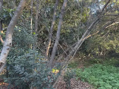 Terreno en Venta de 393,0 m2