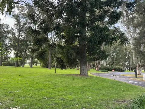 Terreno en Venta en Área 60, USD 16.000
