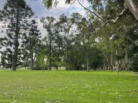 Terreno en Venta de 1356,0 m2