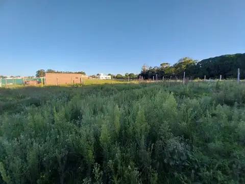 Lote Playa San Carlos