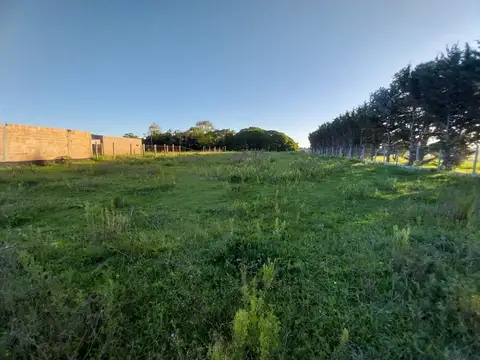 General Francisco Ramírez 400