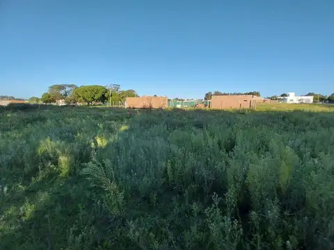 General Francisco Ramírez 400