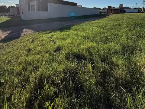 VENTA- 5 TERRENOS-COLONIA CAROYA