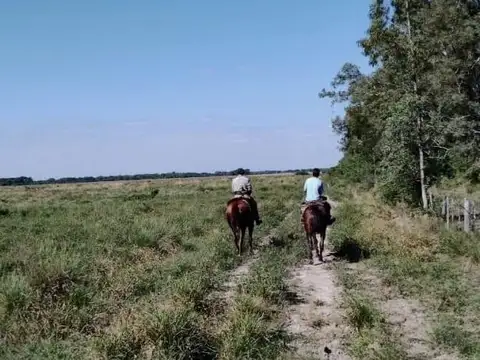 602 ha costa Rio Parana - Corrientes