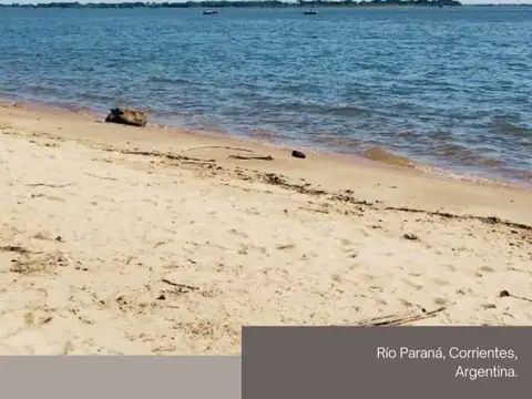 602 ha con Costa Rio Parana - ideal desarrollo - Corrientes