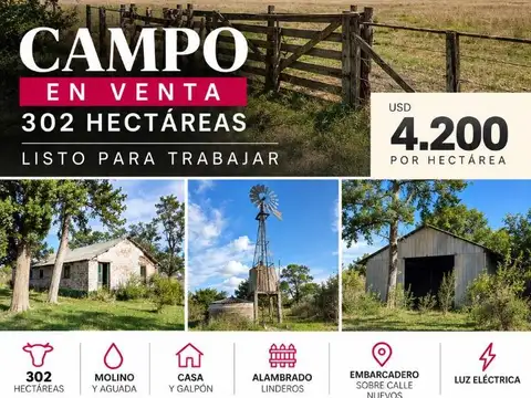 Campo en venta por hectárea - Chascomus -312 hectáreas