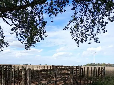 Camino A Giribone, A 27 Km De Ruta Provincial 2