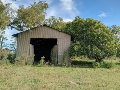 Campo en venta por hectárea - Chascomus -312 hectáreas
