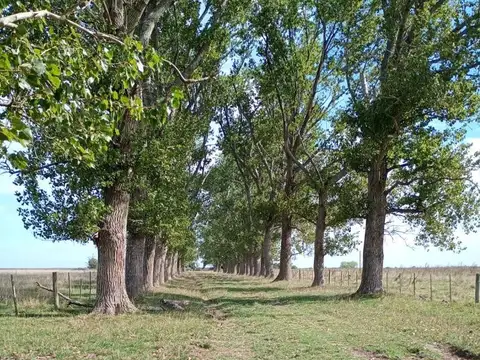 Campo en Venta de 0,03  ha