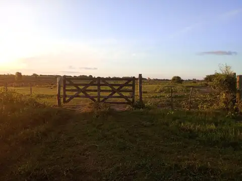 Pje. El Espinillo