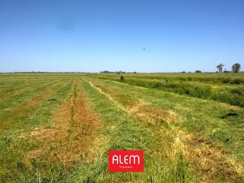 Campo en Venta en Ezeiza, Partido de Ezeiza