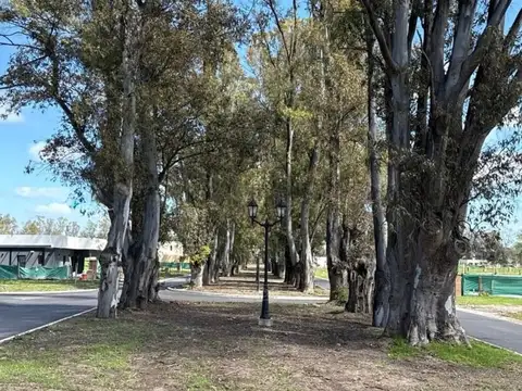 ADG.Lote interno sobre boulevard principal en Santa Sofia