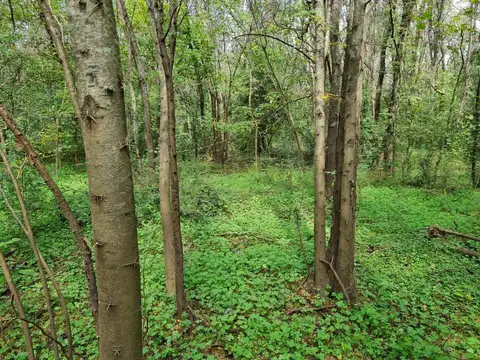 Terreno en Venta de 11000,0 m2