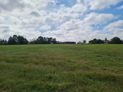 Terreno en Venta de 11000,0 m2