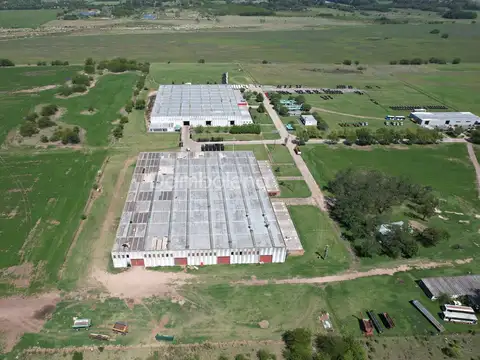 Terreno en Alquiler de 80,0 m2