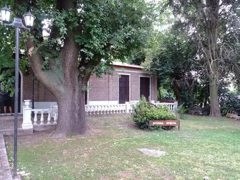 Góngora 900