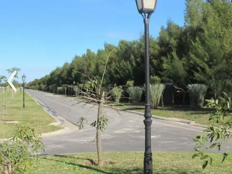 Terreno Lote  en Venta en Barrio Nautico San Juan, Villanueva, Tigre