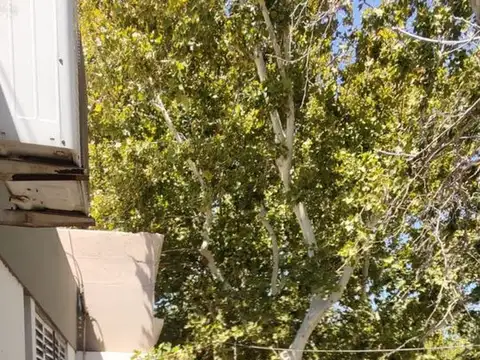 Casa en Venta 26 años
