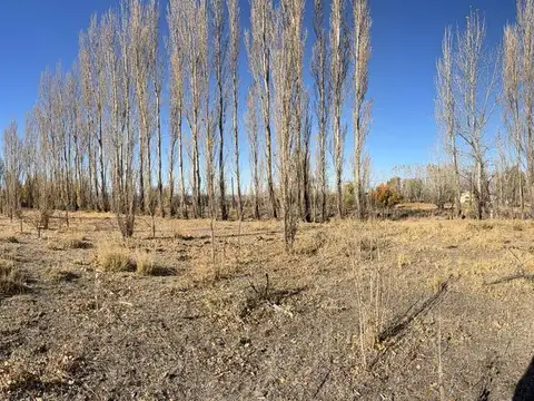 VENTA LOTE 5000m2 – VILLA EL CHOCÓN, NEUQUÉN
