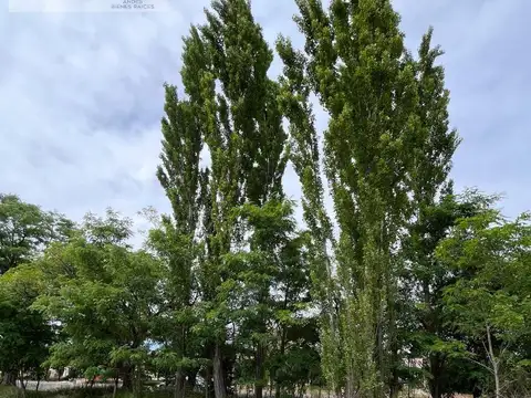 Terreno en San Rafael Villa Suter. Calle Sarmiento.