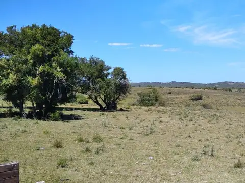 Ruta 109