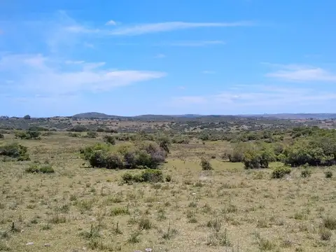 Campo ganadero, criador, Aigua