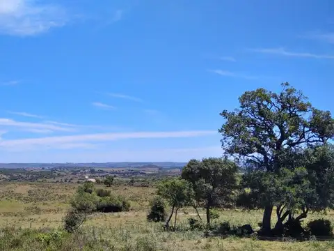 Campo ganadero, criador, Aigua