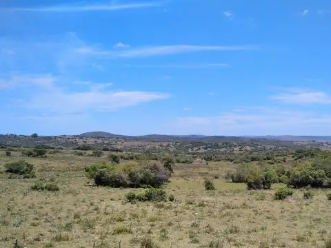 Ruta 109