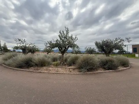 Terreno en Venta en Vistalba, USD 160.000