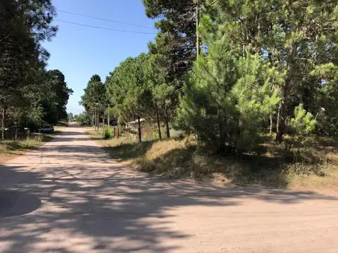 sebastian elcano 1000