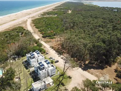 Pinar del Oriental - Uruguay