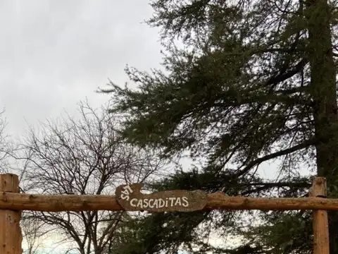 Publica