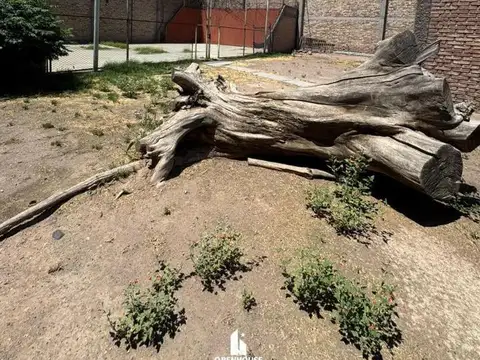 OPENHOUSE VENDE FABULOSAS CANCHAS DE PÁDEL Y FUTBOL  EN CIUDAD.