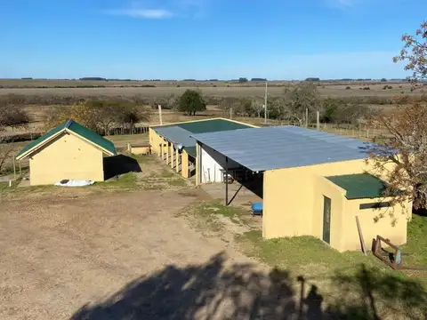 Campo - Venta - Uruguay, FLORES