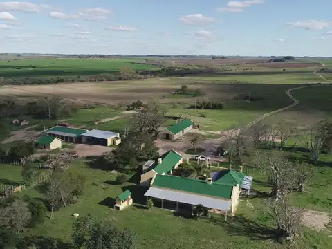 Campo - Venta - Uruguay, FLORES