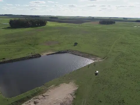 Campo - Venta - Uruguay, FLORES