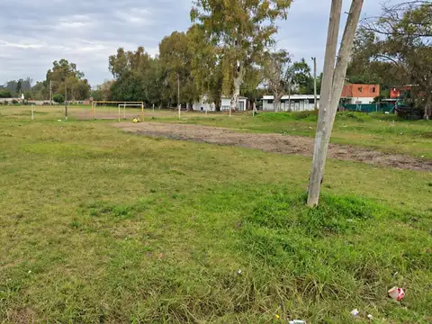 Bustamante