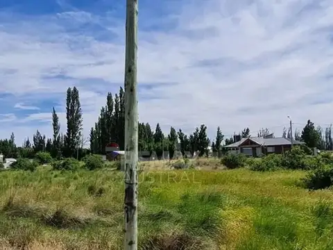 Avenida Antonio Colla 1000