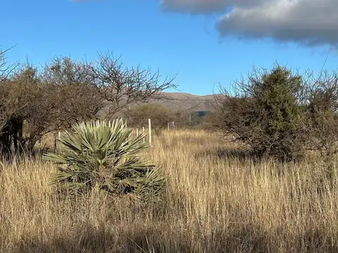 Terreno en Venta de 505,0 m2