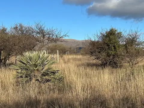 Terreno en Venta de 505,0 m2