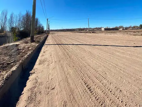 LOTE RUCALHUE - EUGENIO BUSTOS