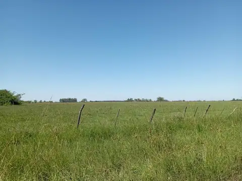 KM 58 de la ruta n° 27, Colonia Progreso, Bella Vista (Corrientes)