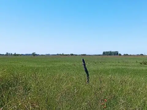 Terreno en Venta de 500000,0 m2