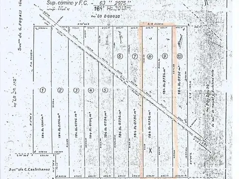 Campo en Venta Agrícola